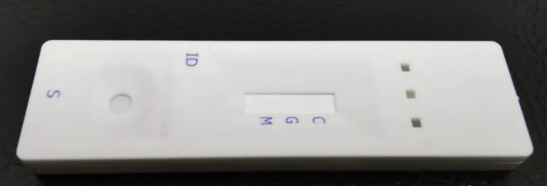 ��Ļ����-2020-03-31-����10.37.13-768x261.png
